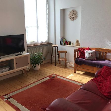 Le Clos Des Iris - Gite Rural 95 M2 Tout Confort En Alsace Bossue Domfessel Exterior foto