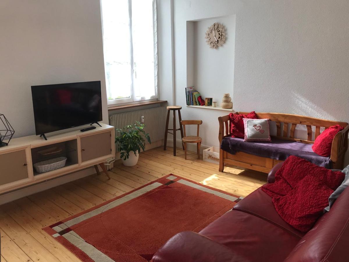 Le Clos Des Iris - Gite Rural 95 M2 Tout Confort En Alsace Bossue Domfessel Exterior foto